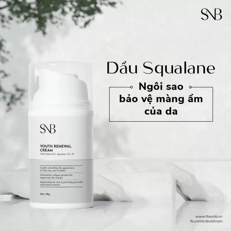 Kem Dưỡng Trẻ Hóa Da SNB YOUTH RENEWAL CREAM