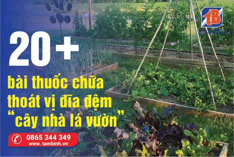 [REVIEW] 20+ bài thuốc chữa thoát vị đĩa đệm tại nhà “cây nhà lá vườn”