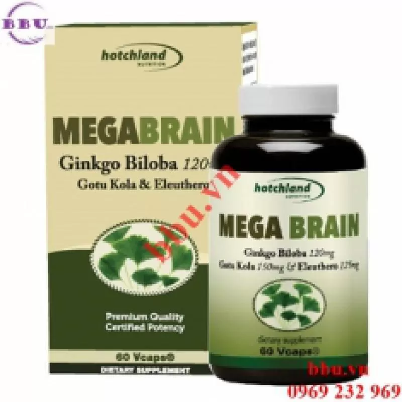 MegaBrain Ginkgo Biloba hoạt huyết dưỡng não, bổ máu