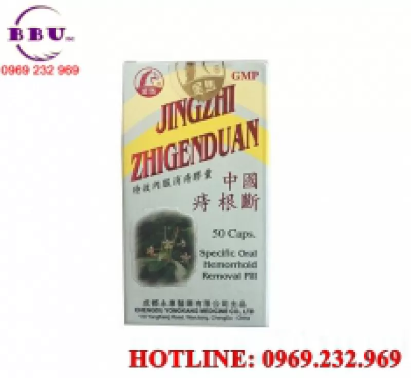 Trĩ Căn Đoạn - Jingzhi Zhigenduan