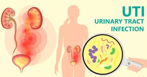 Nhiễm Trùng Tiết Niệu: Nguyên Nhân, Dấu Hiệu & Cách Điều Trị