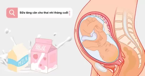 Review 5 Sữa Tăng Cân Cho Thai Nhi Tháng Cuối Tốt Nhất Năm 2024