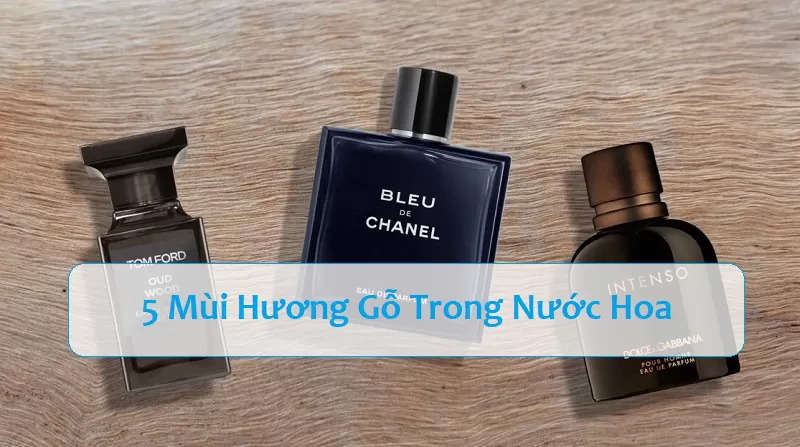 [Bạn Có Biết] 5 Mùi Hương Gỗ Trong Nước Hoa Là Gì?